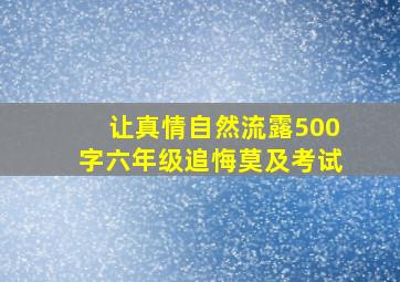 让真情自然流露500字六年级追悔莫及考试