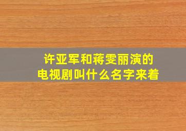 许亚军和蒋雯丽演的电视剧叫什么名字来着