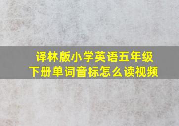 译林版小学英语五年级下册单词音标怎么读视频