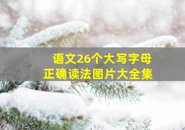 语文26个大写字母正确读法图片大全集