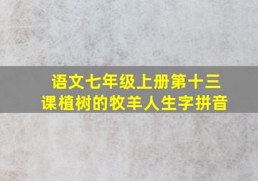 语文七年级上册第十三课植树的牧羊人生字拼音