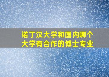 诺丁汉大学和国内哪个大学有合作的博士专业