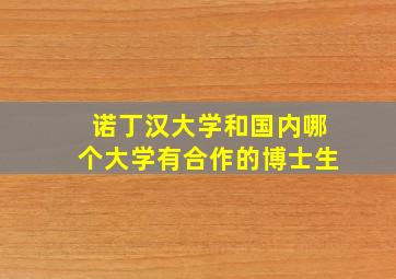 诺丁汉大学和国内哪个大学有合作的博士生