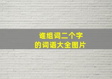 谁组词二个字的词语大全图片