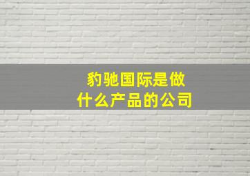 豹驰国际是做什么产品的公司