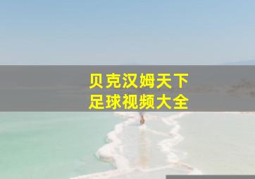 贝克汉姆天下足球视频大全