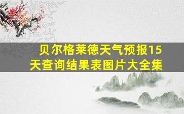 贝尔格莱德天气预报15天查询结果表图片大全集