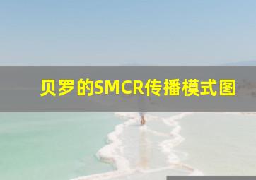 贝罗的SMCR传播模式图