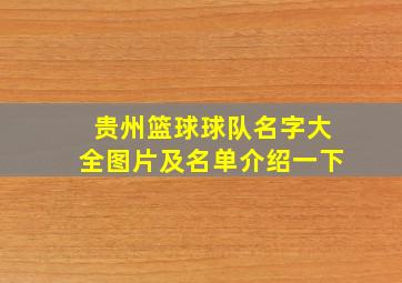 贵州篮球球队名字大全图片及名单介绍一下