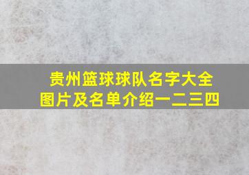 贵州篮球球队名字大全图片及名单介绍一二三四