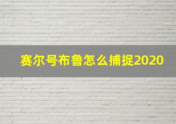 赛尔号布鲁怎么捕捉2020