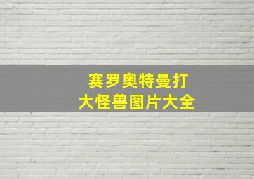 赛罗奥特曼打大怪兽图片大全