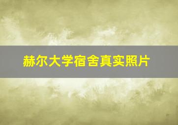 赫尔大学宿舍真实照片