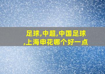 足球,中超,中国足球,上海申花哪个好一点