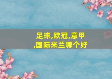 足球,欧冠,意甲,国际米兰哪个好