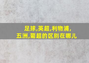 足球,英超,利物浦,五洲,葡超的区别在哪儿