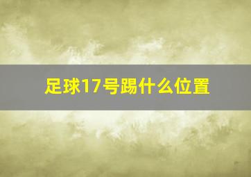 足球17号踢什么位置