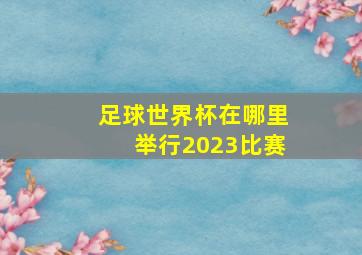 足球世界杯在哪里举行2023比赛