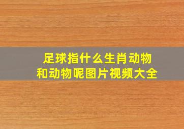 足球指什么生肖动物和动物呢图片视频大全