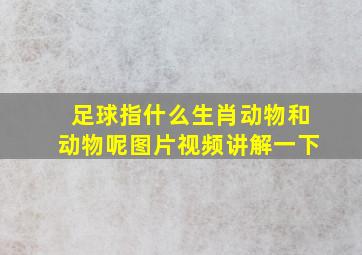 足球指什么生肖动物和动物呢图片视频讲解一下