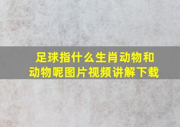 足球指什么生肖动物和动物呢图片视频讲解下载