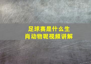 足球赛是什么生肖动物呢视频讲解