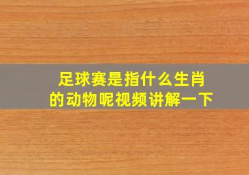 足球赛是指什么生肖的动物呢视频讲解一下