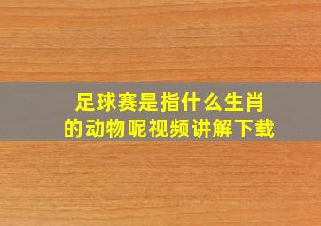 足球赛是指什么生肖的动物呢视频讲解下载