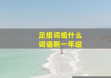 足组词组什么词语啊一年级