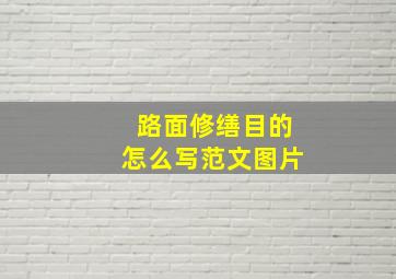 路面修缮目的怎么写范文图片