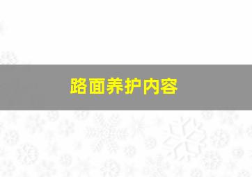 路面养护内容