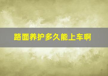 路面养护多久能上车啊