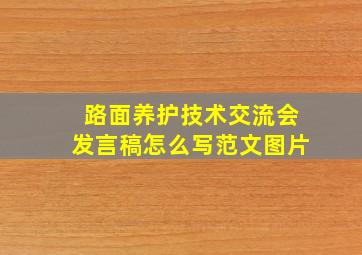 路面养护技术交流会发言稿怎么写范文图片