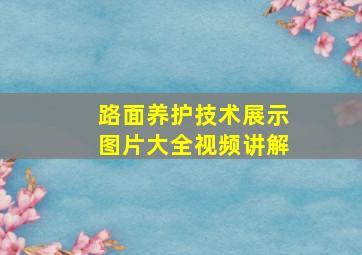 路面养护技术展示图片大全视频讲解