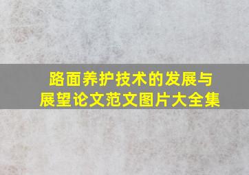 路面养护技术的发展与展望论文范文图片大全集