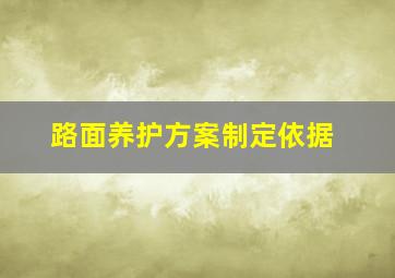 路面养护方案制定依据