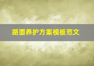 路面养护方案模板范文