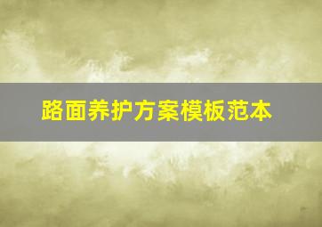 路面养护方案模板范本