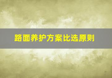 路面养护方案比选原则