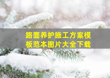 路面养护施工方案模板范本图片大全下载