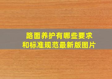 路面养护有哪些要求和标准规范最新版图片