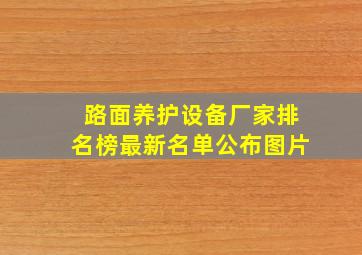 路面养护设备厂家排名榜最新名单公布图片