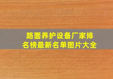 路面养护设备厂家排名榜最新名单图片大全