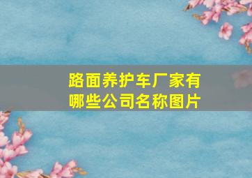 路面养护车厂家有哪些公司名称图片