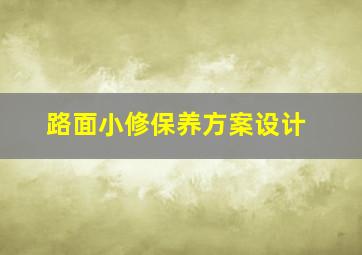 路面小修保养方案设计