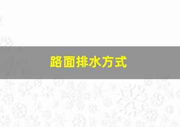 路面排水方式