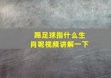 踢足球指什么生肖呢视频讲解一下