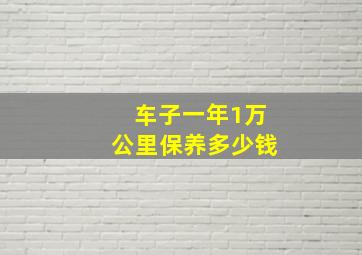 车子一年1万公里保养多少钱