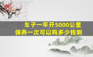 车子一年开5000公里保养一次可以吗多少钱啊