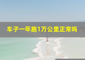 车子一年跑1万公里正常吗